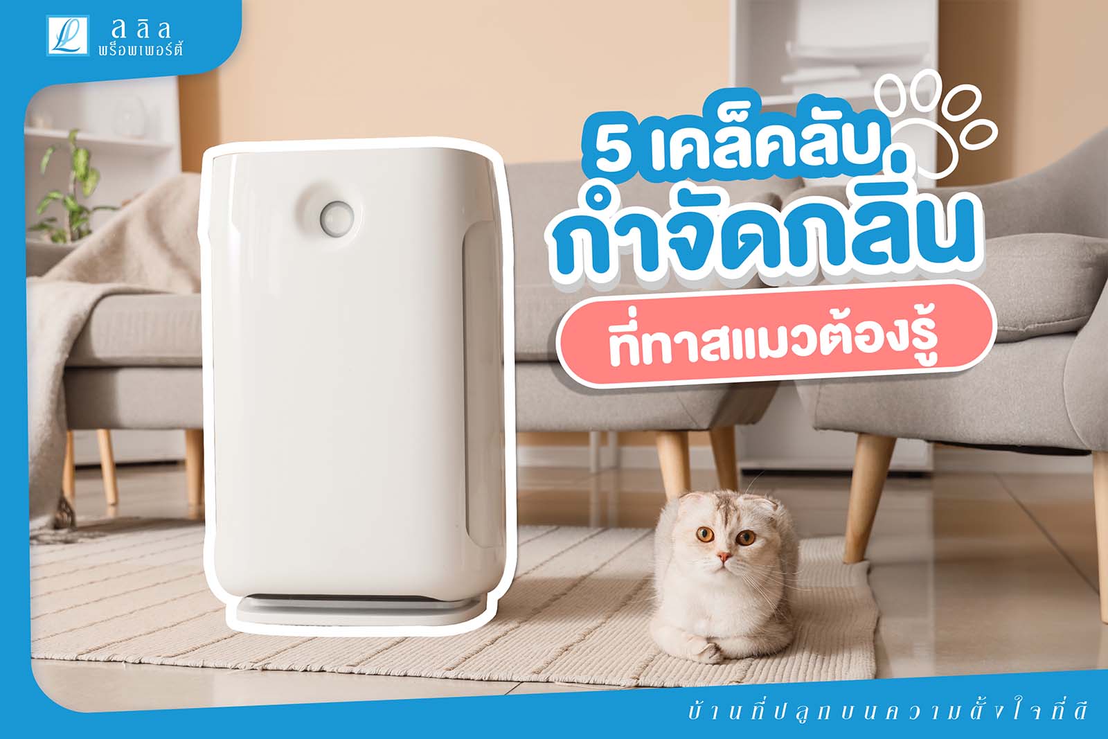 5 เคล็ดลับกำจัดกลิ่น ที่ทาสแมวต้องรู้