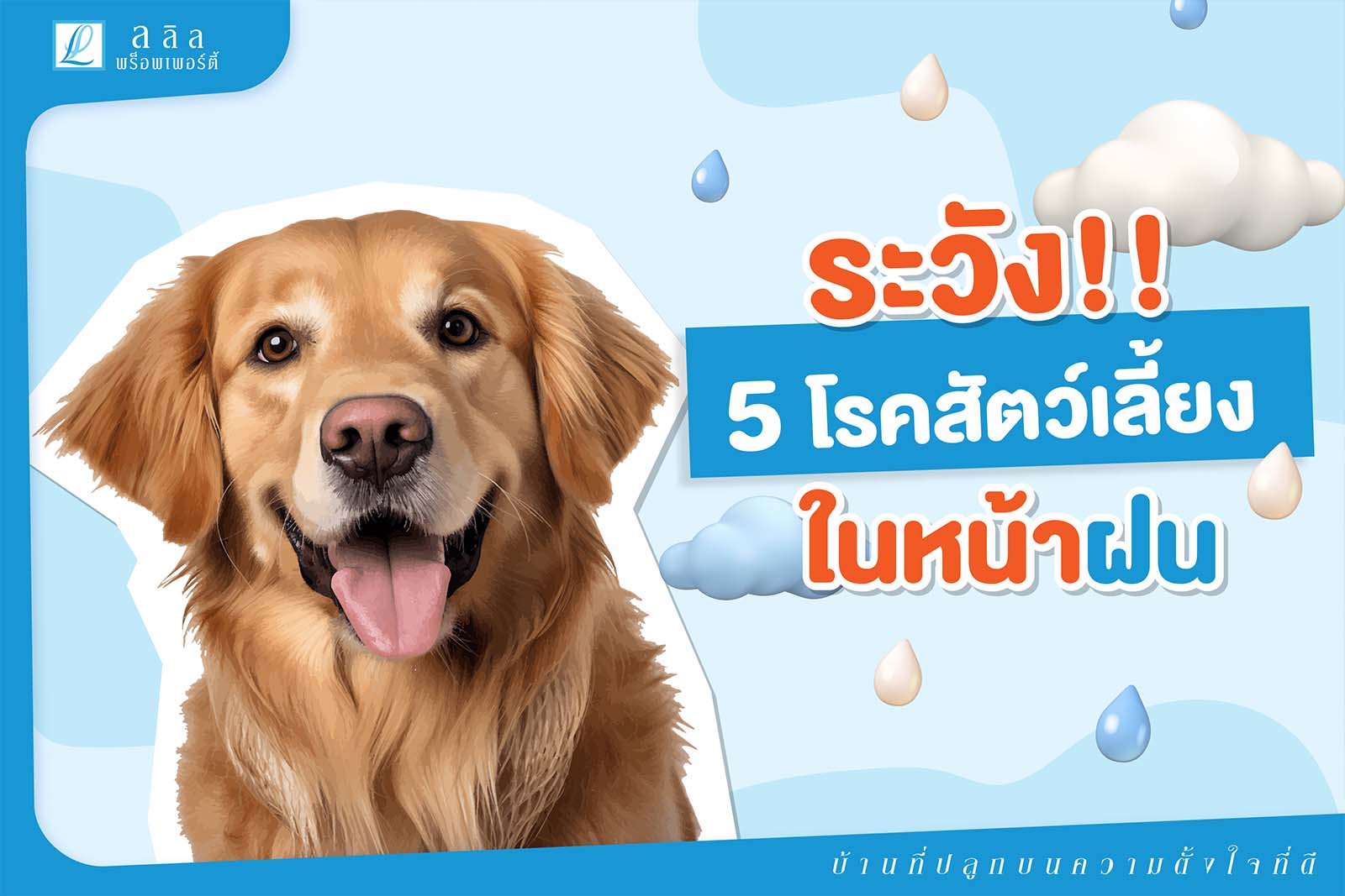 ควรระวัง 5 โรคสัตว์เลี้ยง ในหน้าฝน
