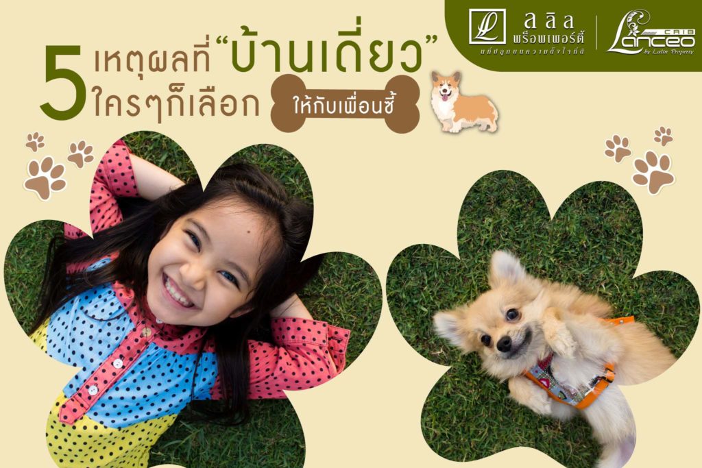5 เหตุผลที่ใครๆก็เลือก “บ้านเดี่ยว” ให้กับเพื่อนซี้