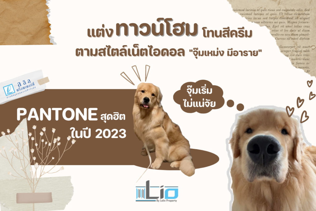 จุ๊มเหม่ง มีอารายยยย