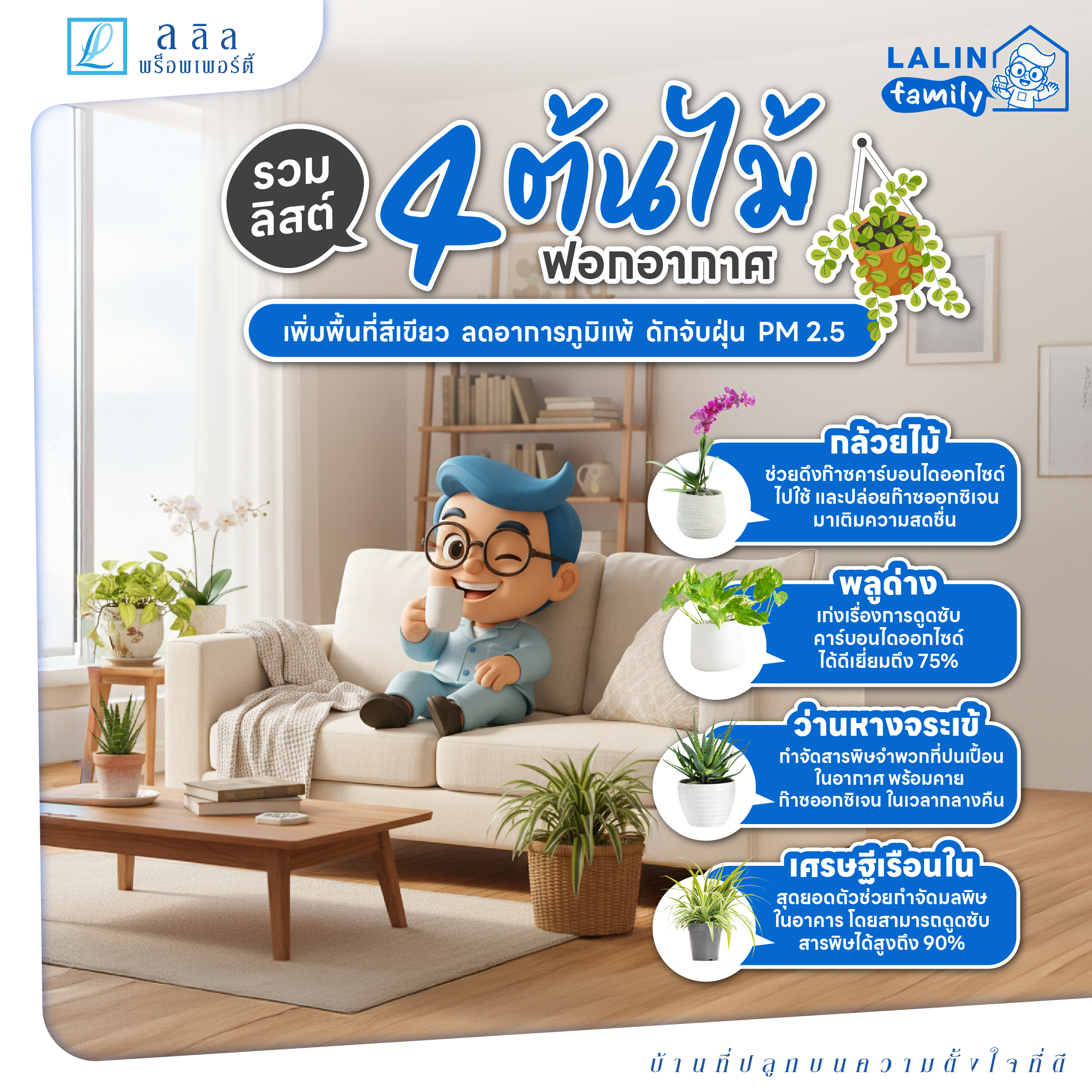 4 ต้นไม้ฟอกอากาศในบ้าน ลดฝุ่น PM 2.5 ลดอาการภูมิแพ้